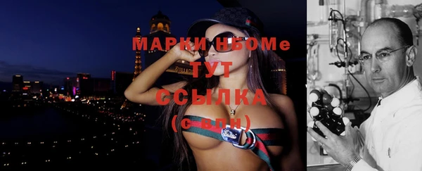 стаф Касимов