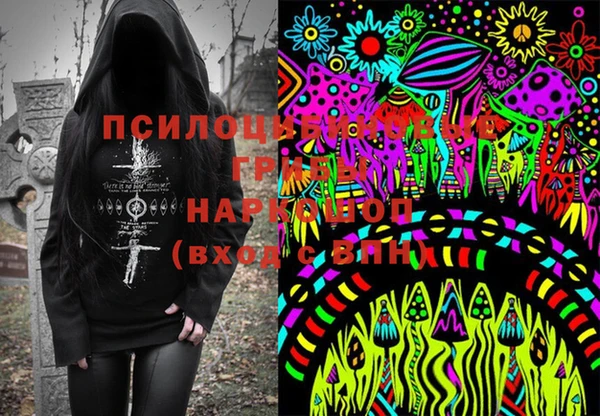 стаф Касимов