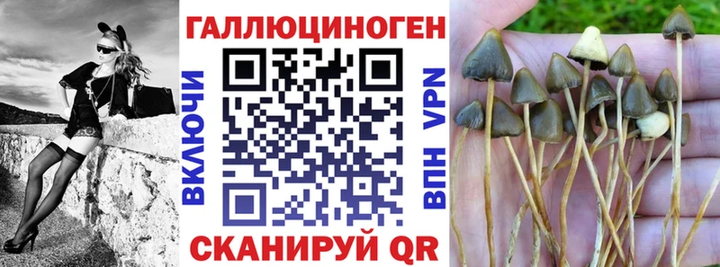 Псилоцибиновые грибы Psilocybe  Купить где  Златоуст 